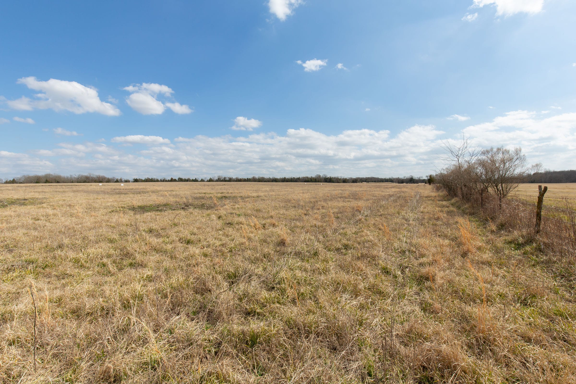 Wishing Star Ranch Tract 96 photo 14
