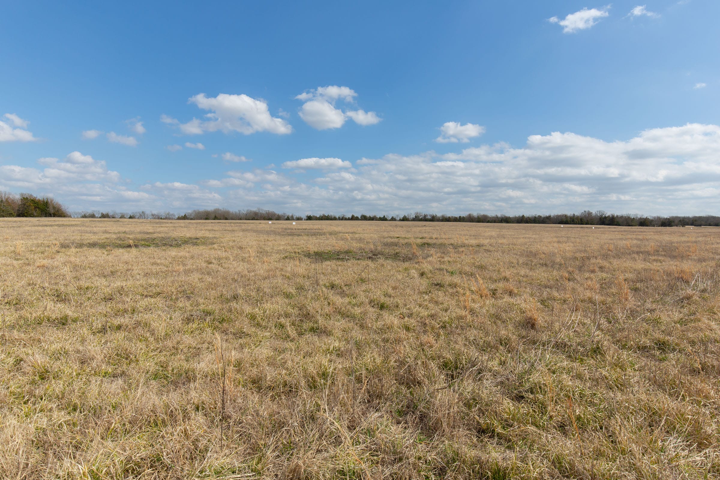 Wishing Star Ranch Tract 96 photo 16