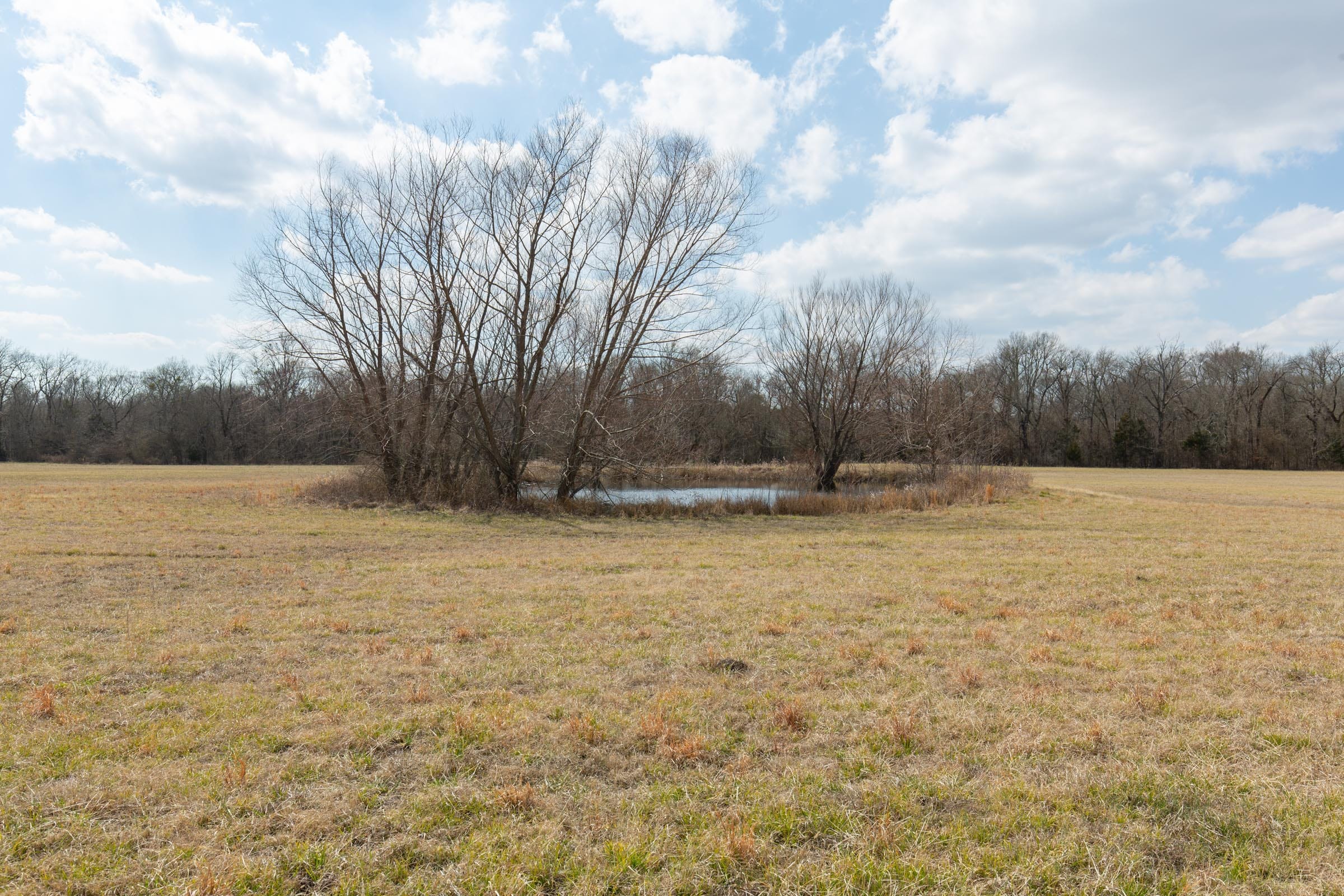 Wishing Star Ranch Tract 96 photo 17