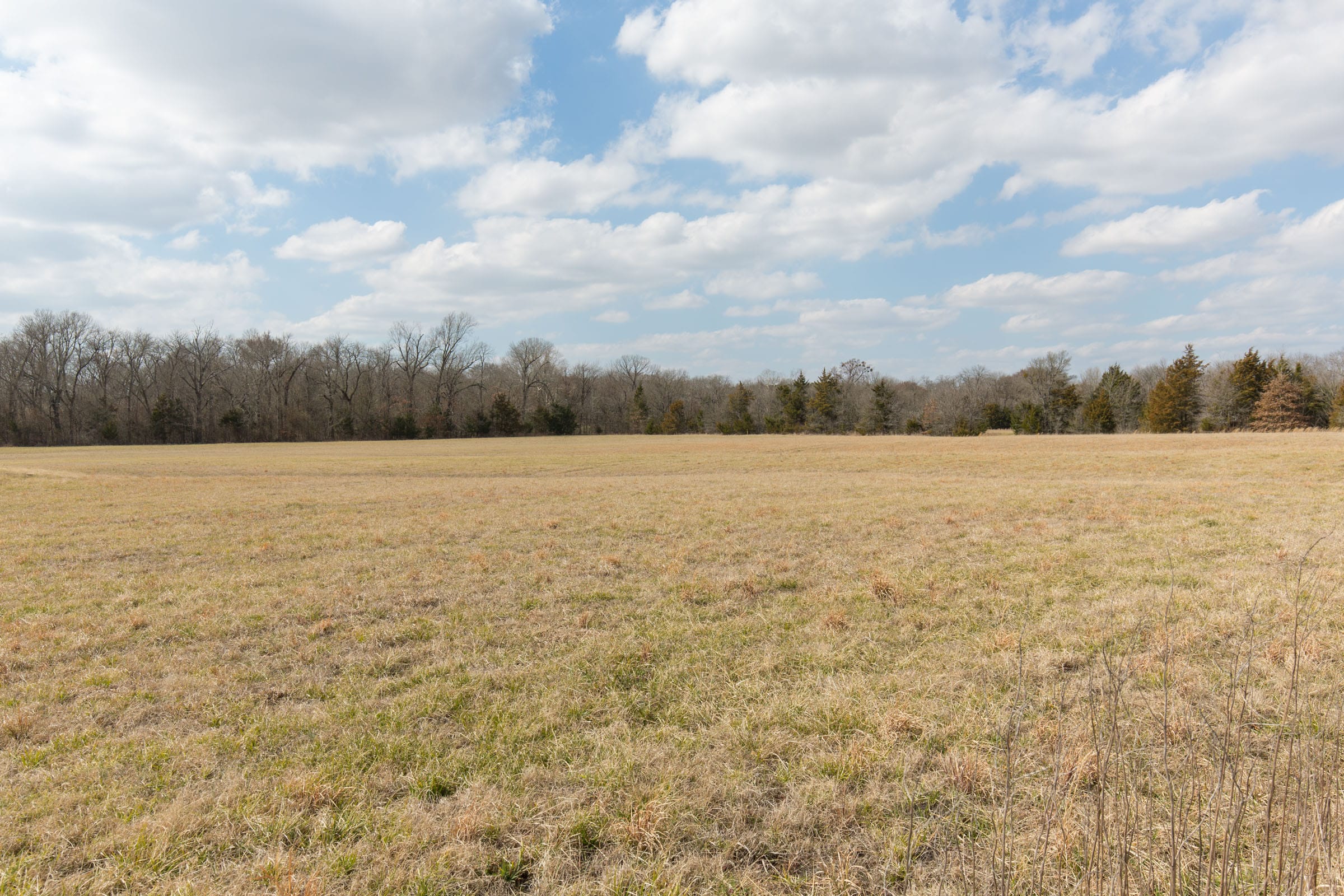 Wishing Star Ranch Tract 96 photo 19