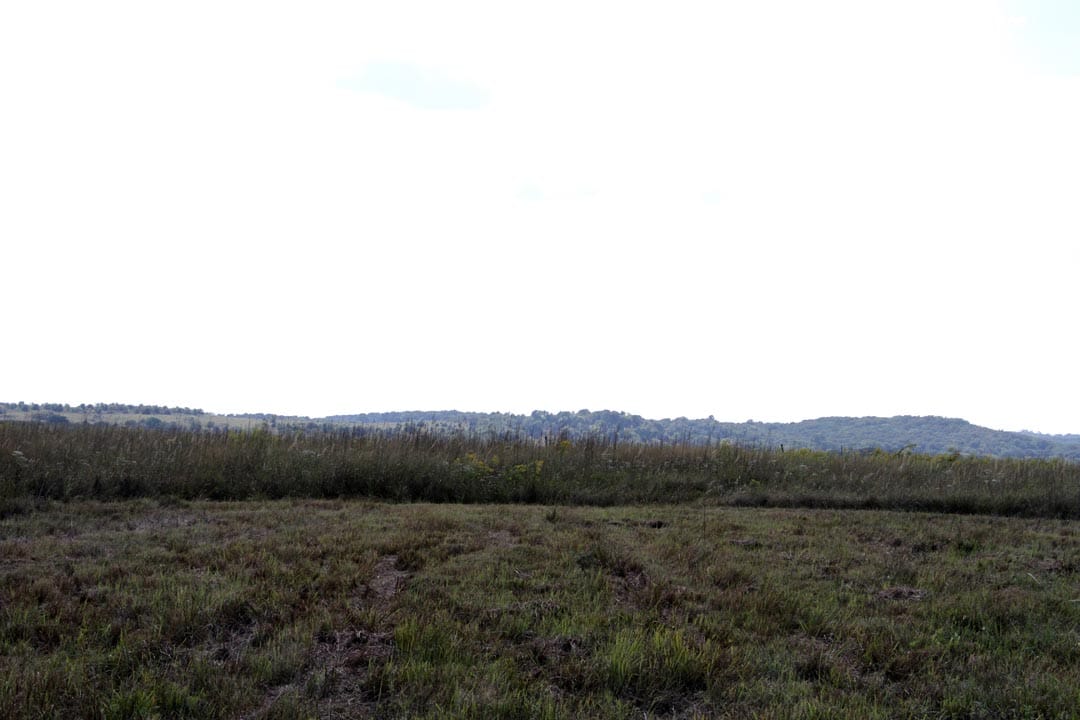 Cowboy Meadows Tract 1 photo 4