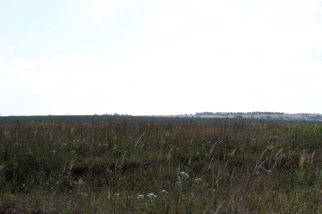 Cowboy Meadows Tract 1 photo 6