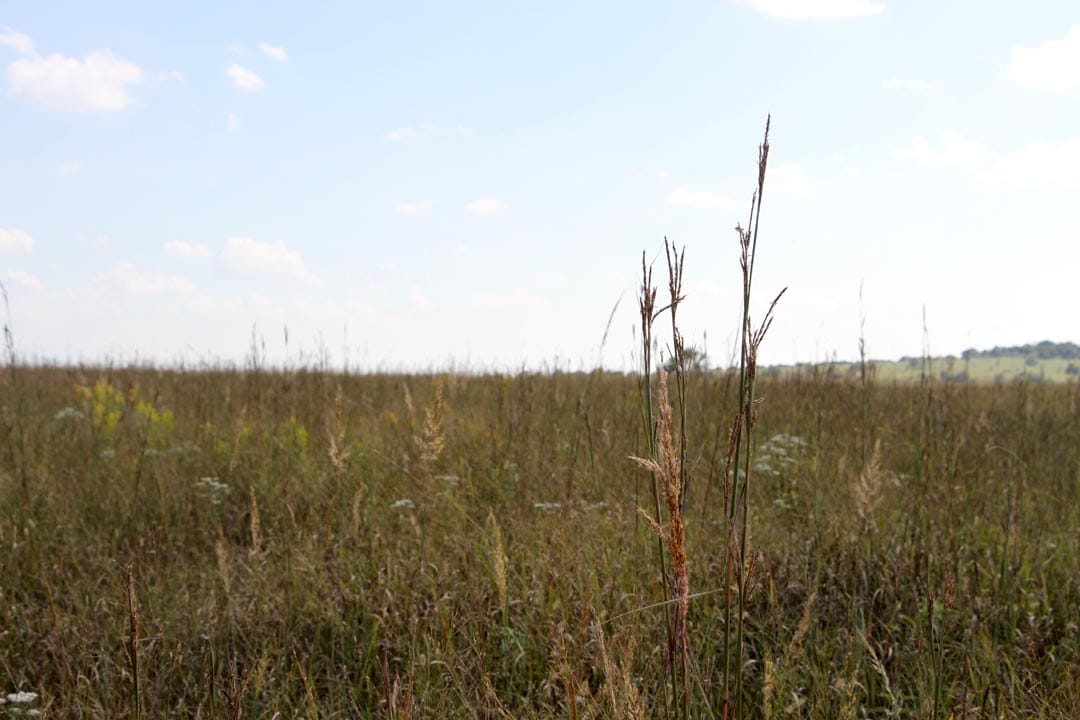 Cowboy Meadows Tract 1 photo 8