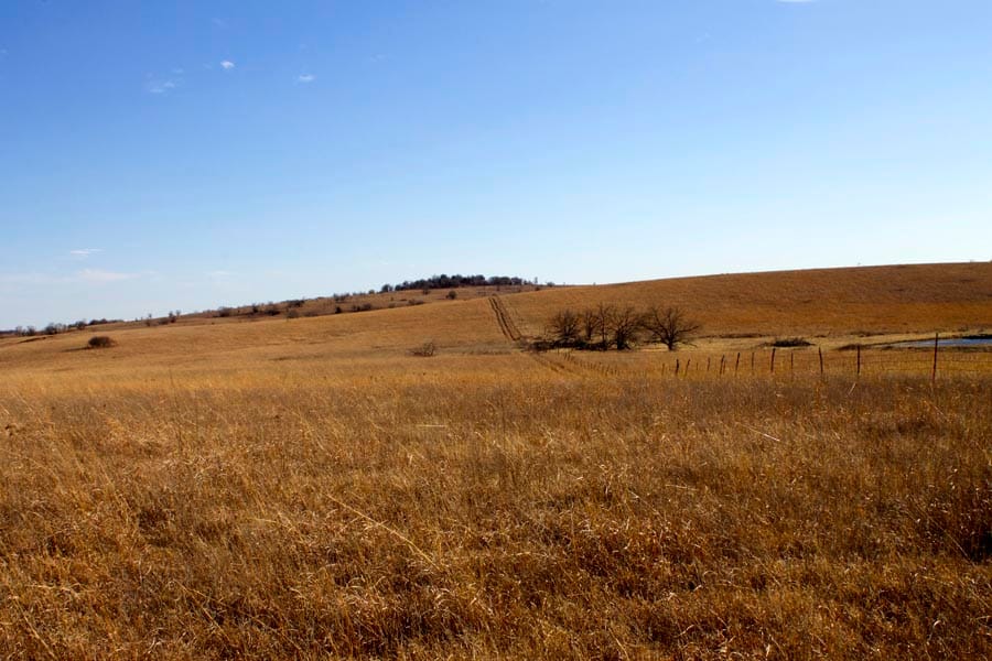 Cowboy Meadows Tract 1 photo 9