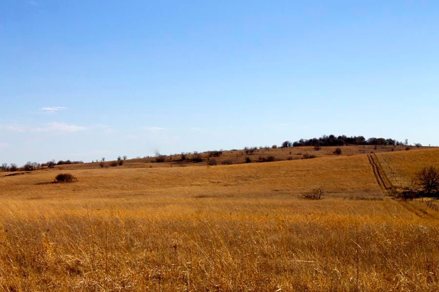 Cowboy Meadows Tract 1 photo 10