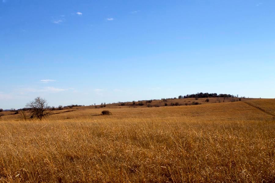Cowboy Meadows Tract 1 photo 13