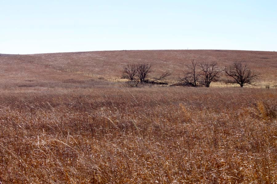 Cowboy Meadows Tract 1 photo 22