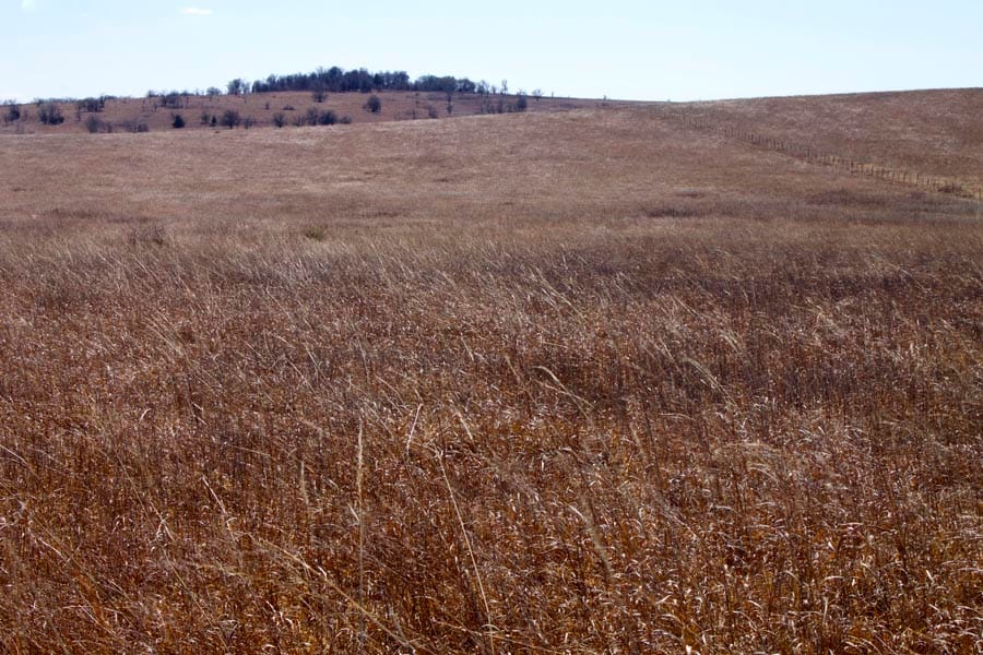 Cowboy Meadows Tract 1 photo 23