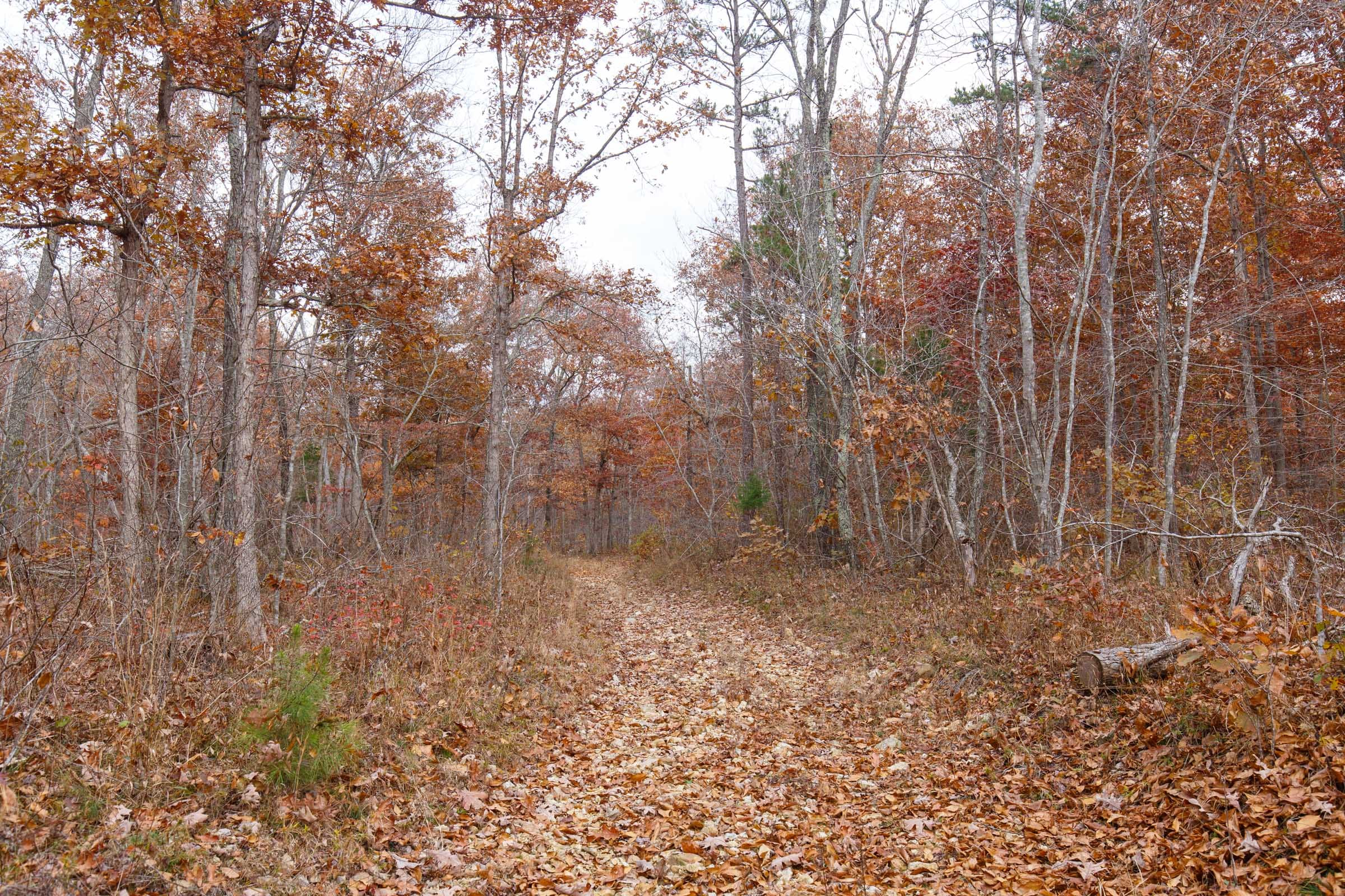 Hawkcrest Tract 49 photo 2