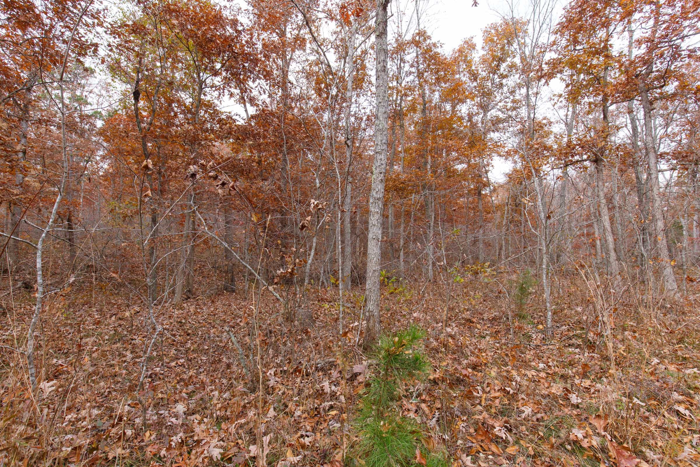 Hawkcrest Tract 49 photo 3