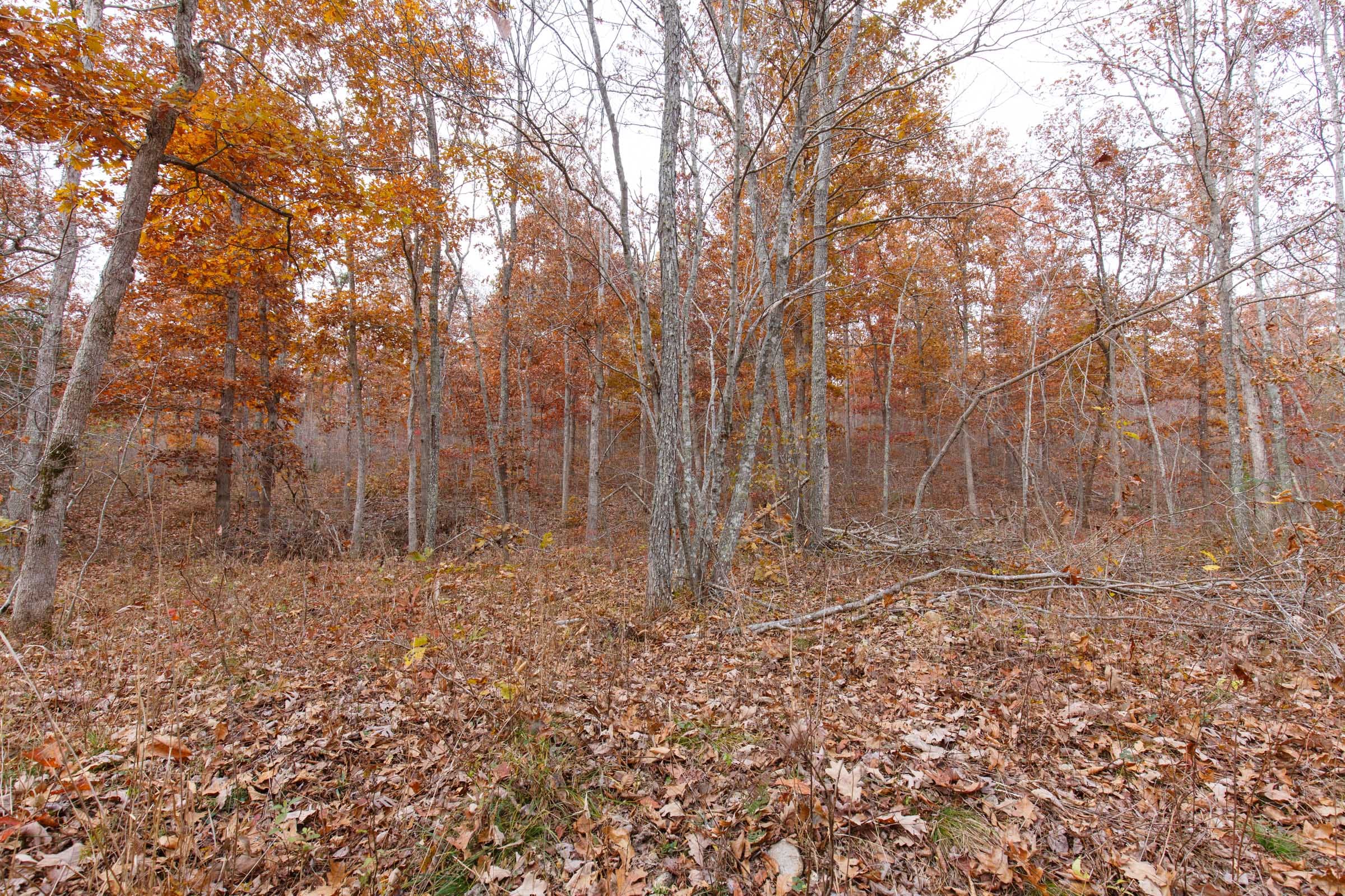 Hawkcrest Tract 49 photo 8