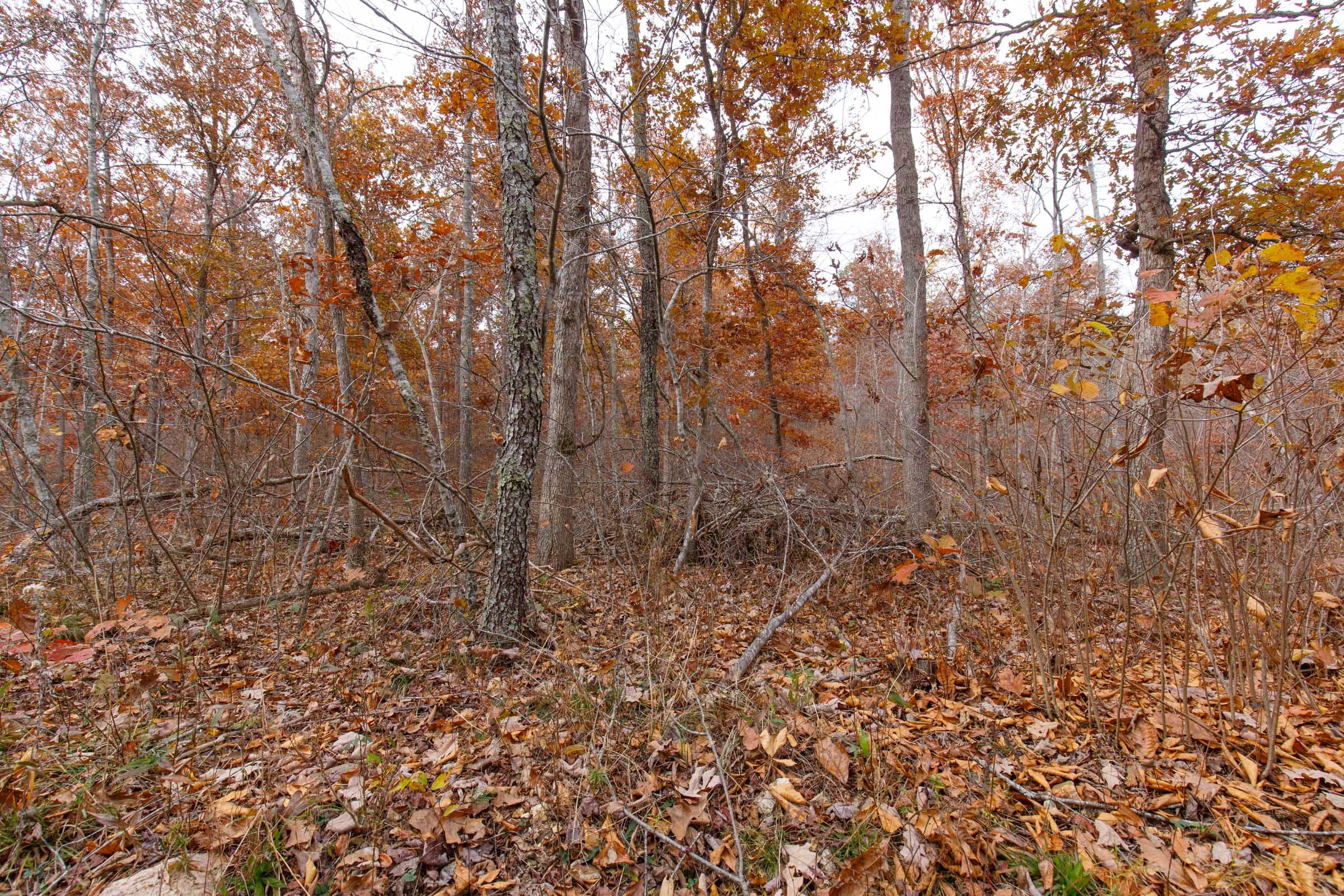 Hawkcrest Tract 49 photo 5
