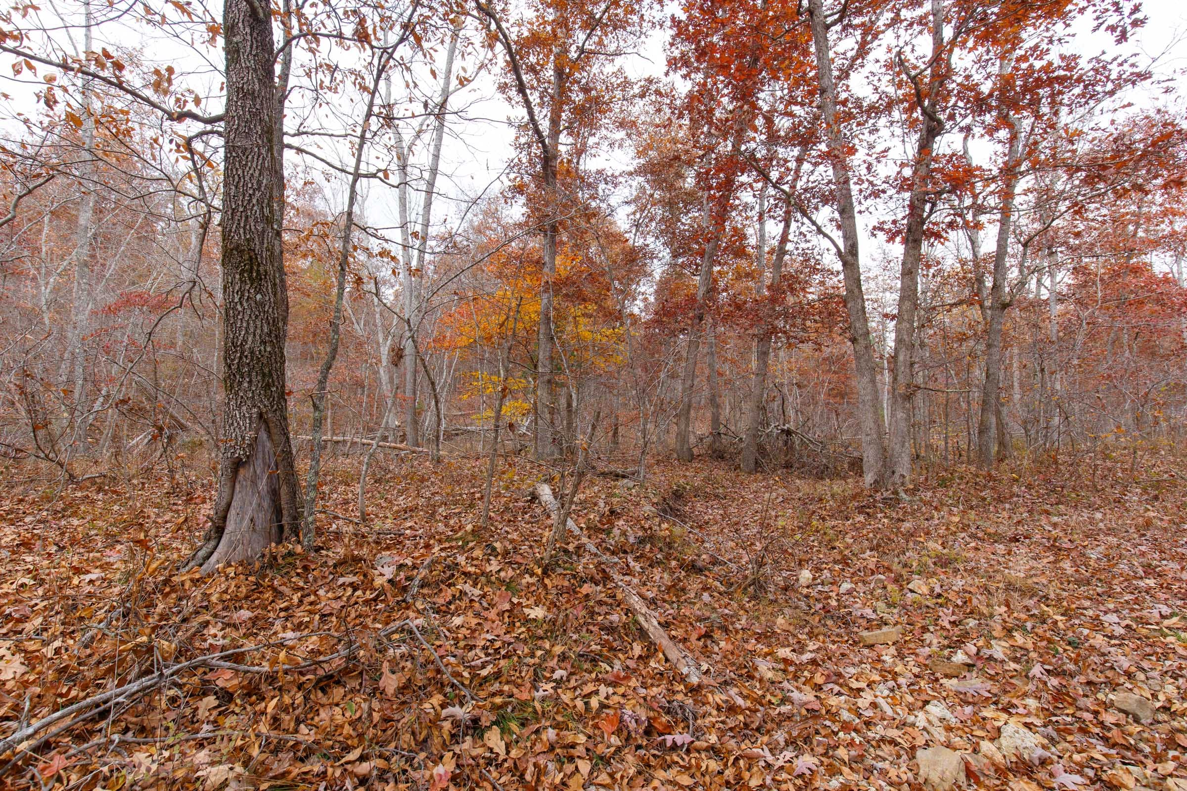 Hawkcrest Tract 49 photo 10