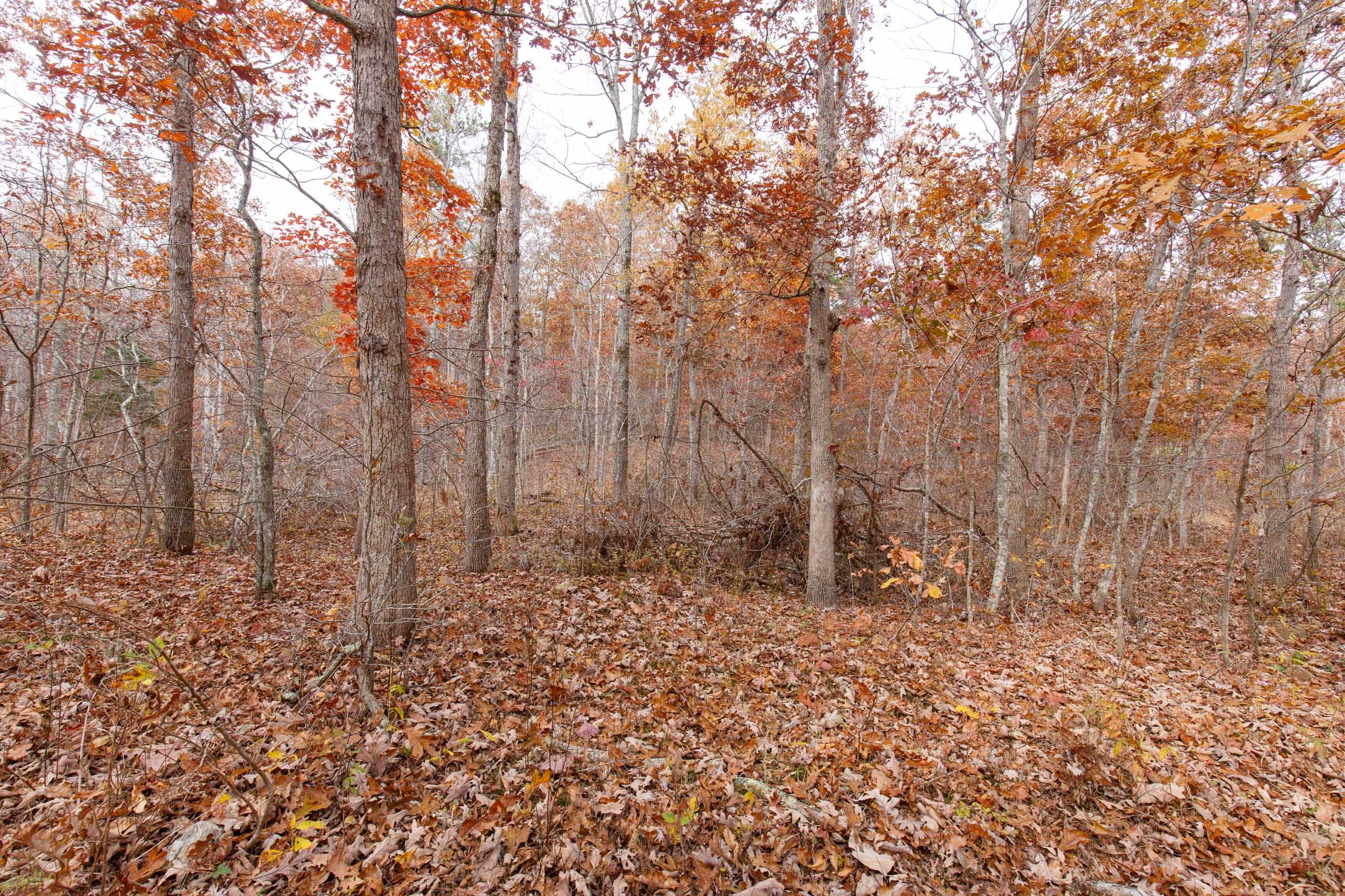 Hawkcrest Tract 49 photo 11