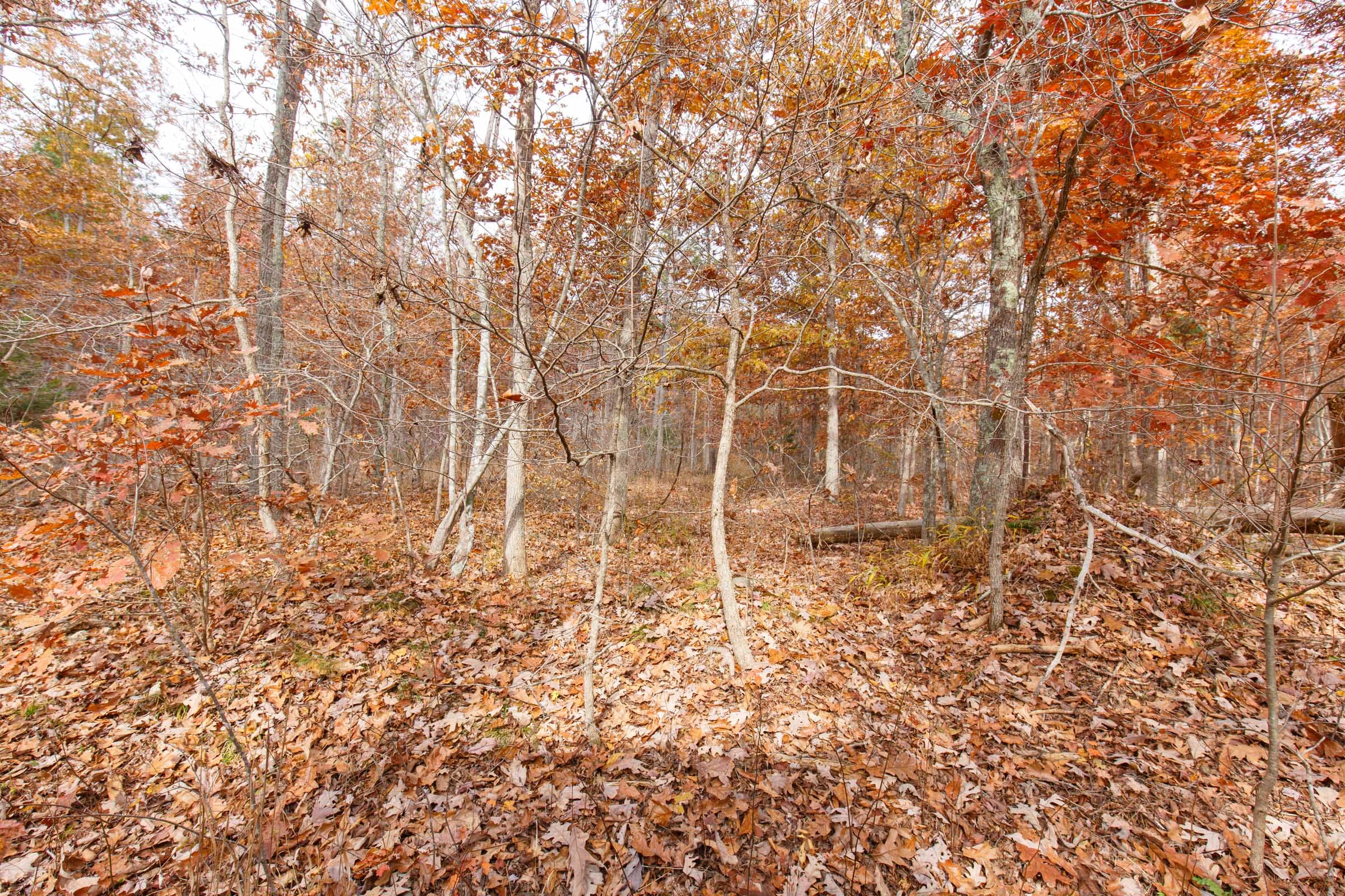 Hawkcrest Tract 49 photo 7