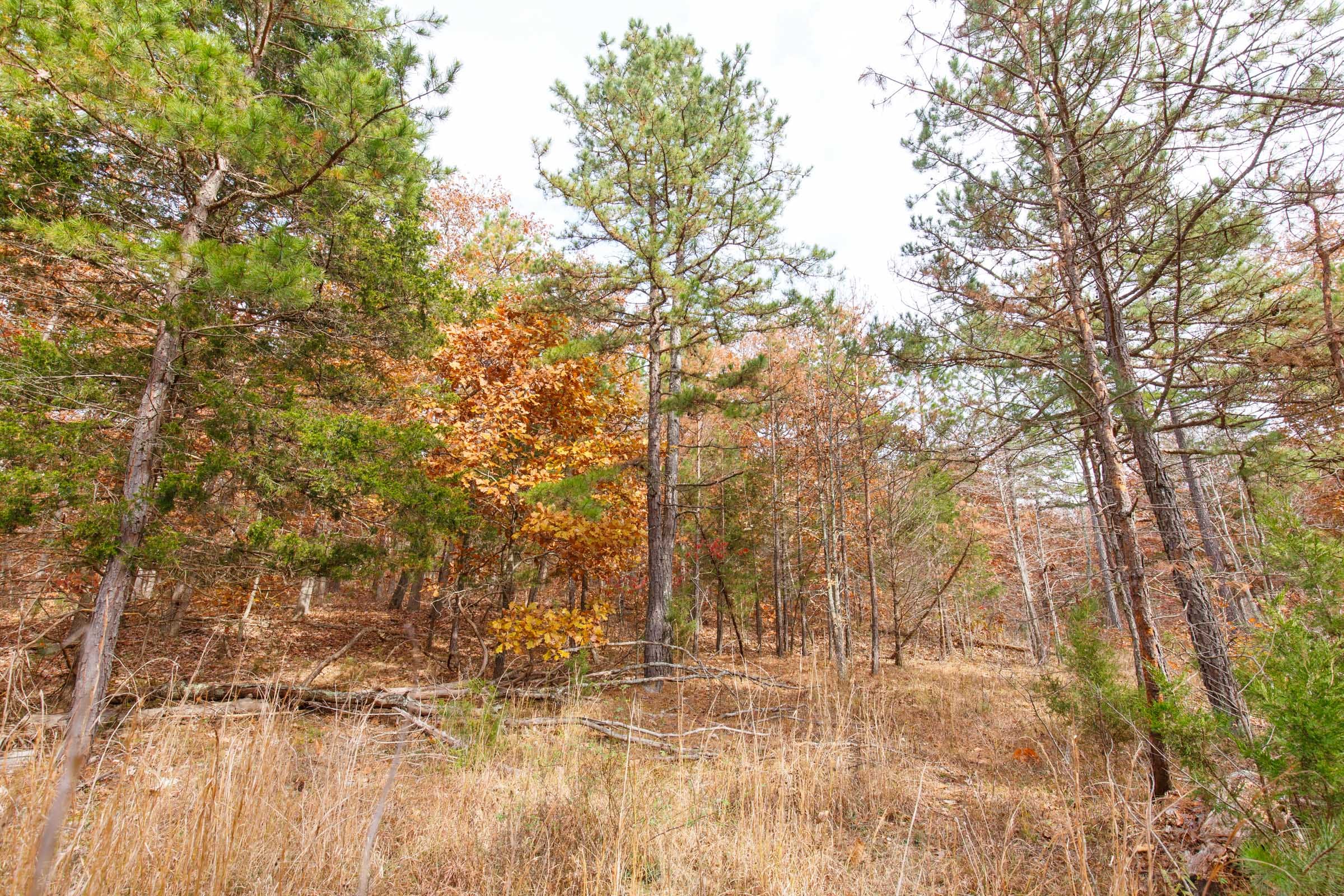 Hawkcrest Tract 49 photo 4