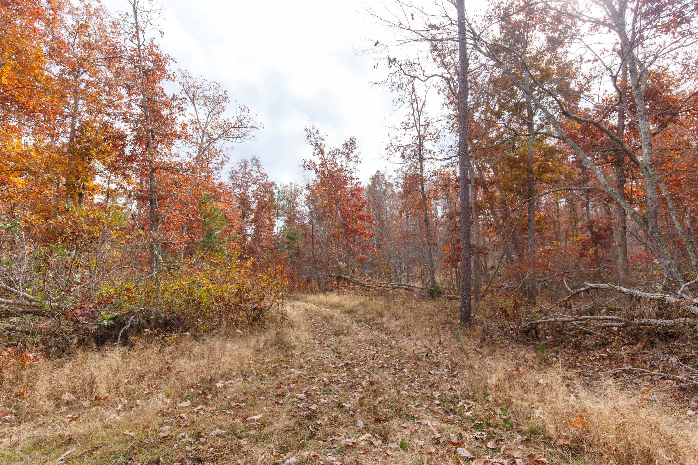 Hawkcrest Tract 49 photo 6