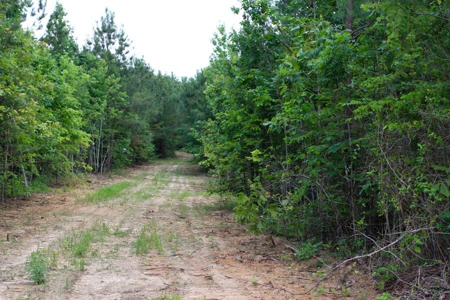 Bluebird Ranch Tract 3 photo 2