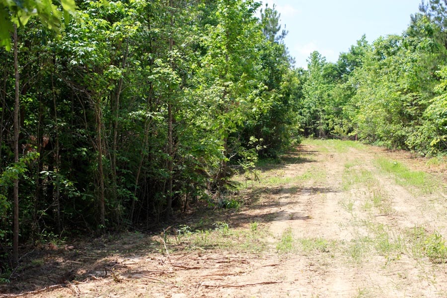 Bluebird Ranch Tract 3 photo 6