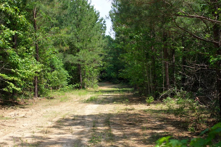 Bluebird Ranch Tract 3 photo 7