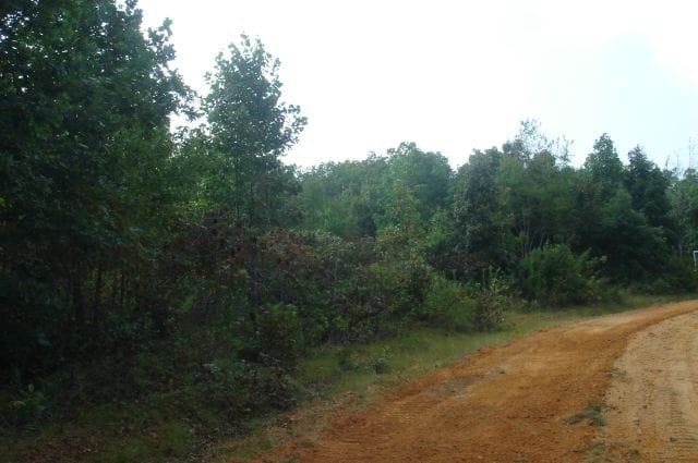 Sugartree Falls Tract 7 photo 4