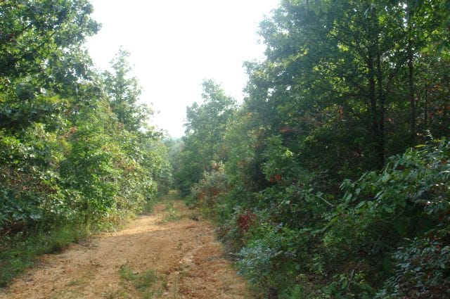 Sugartree Falls Tract 7 photo 1