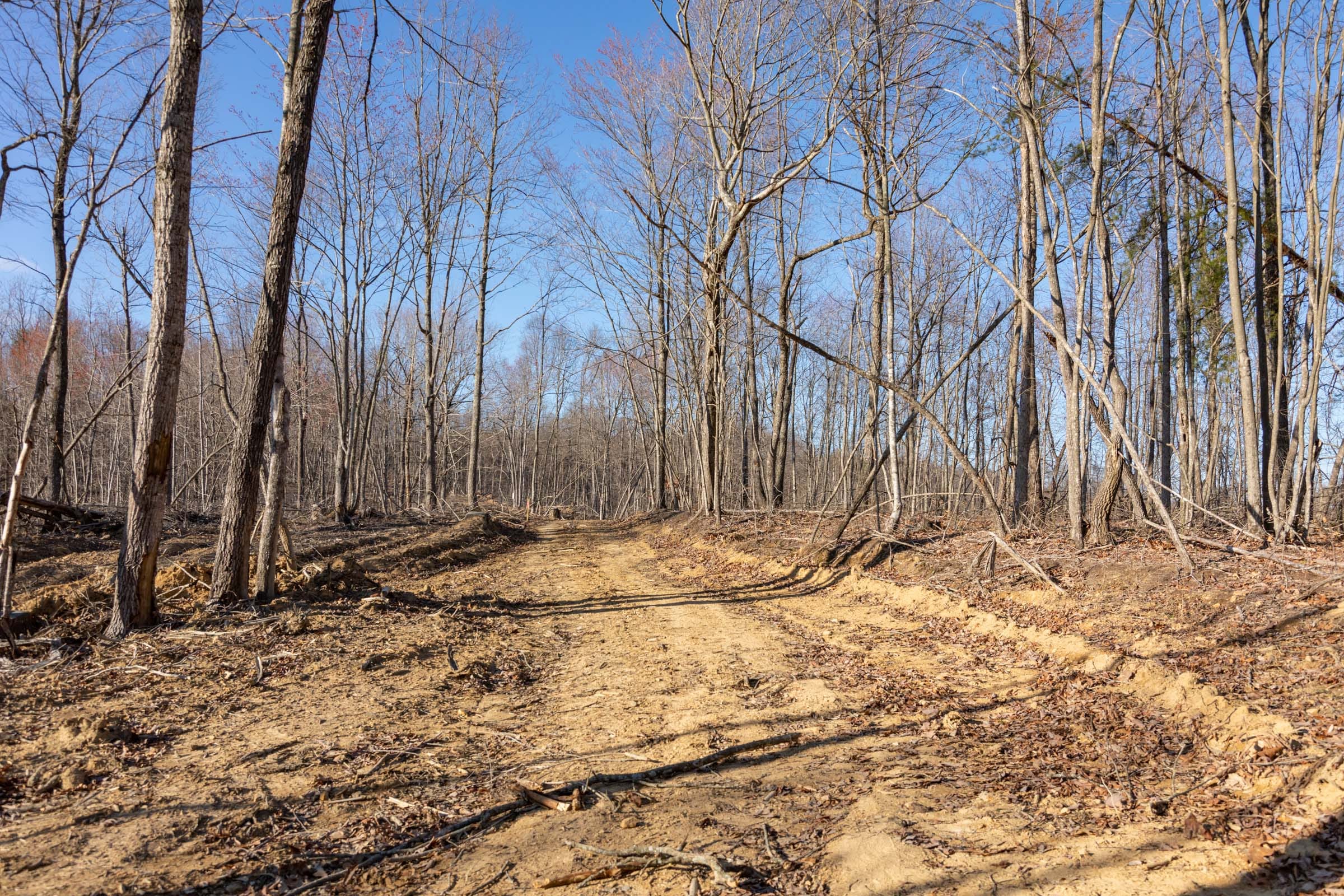 Creek Hollow Phase I Tract 20 photo 1