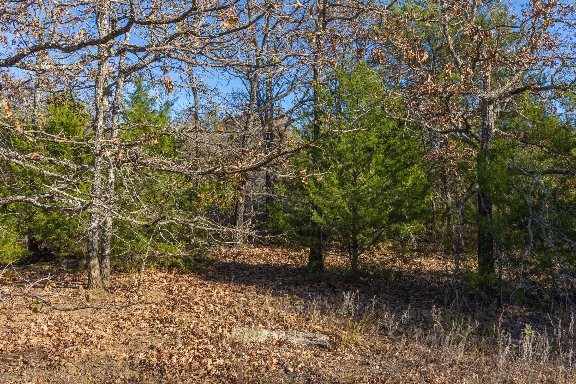 Harmony Hills Tract 51 photo 8