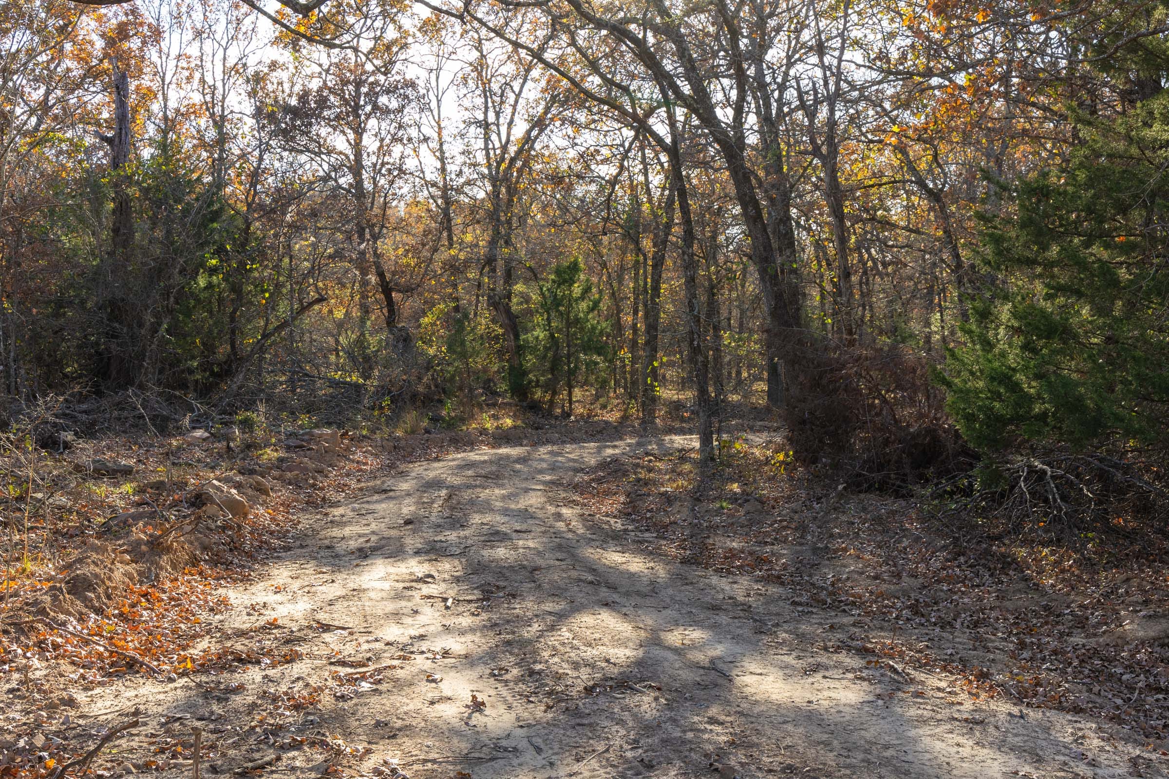 Harmony Hills Tract 51 photo 4