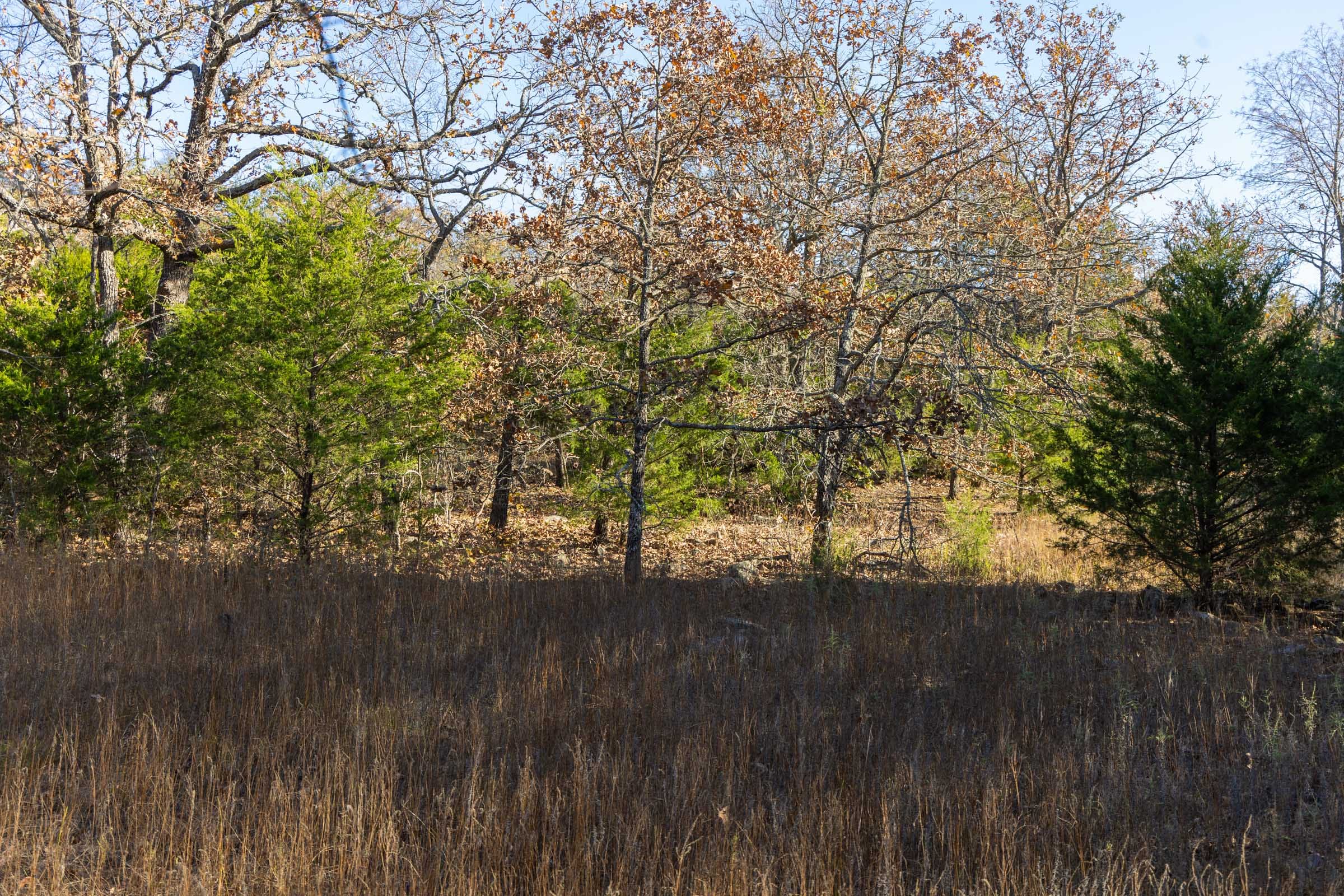 Harmony Hills Tract 51 photo 11
