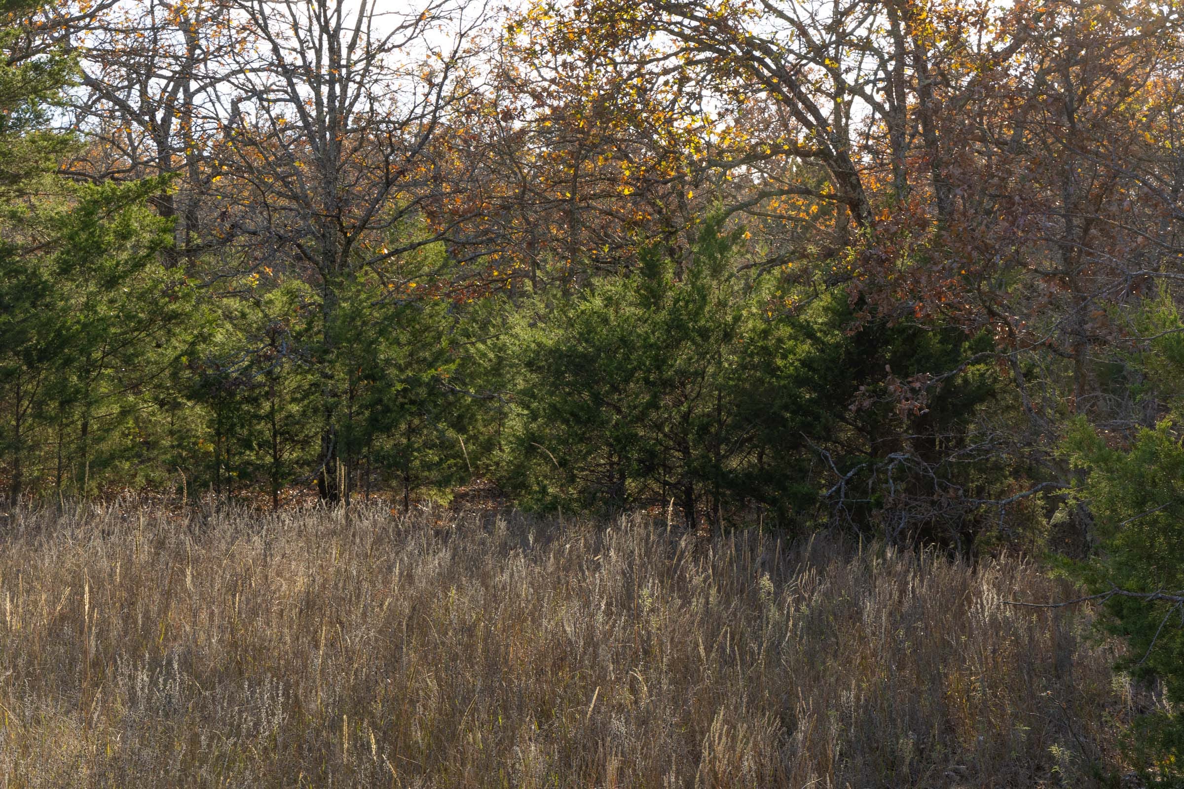 Harmony Hills Tract 51 photo 3