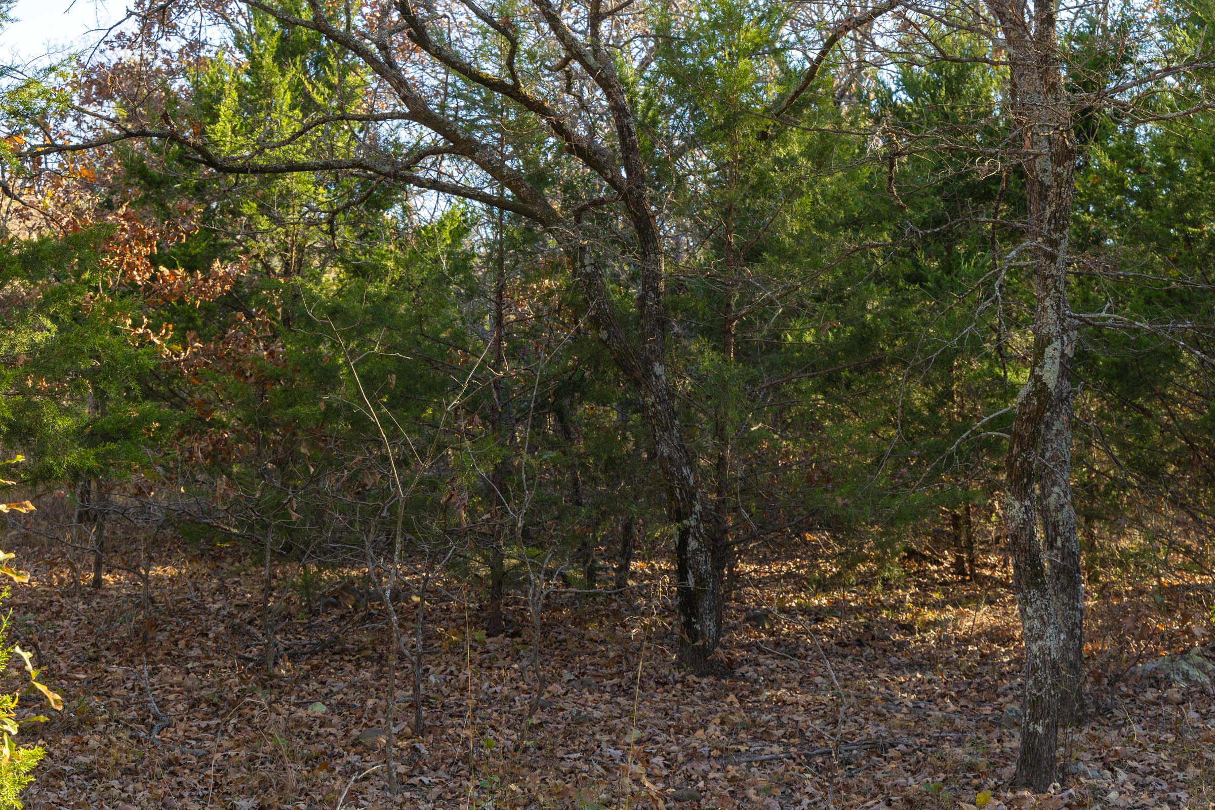 Harmony Hills Tract 51 photo 2