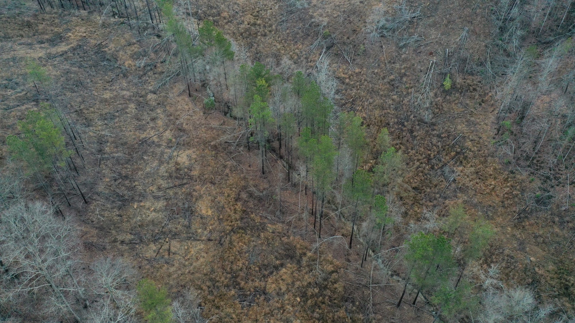 Fairview Hills Tract 8 photo 2