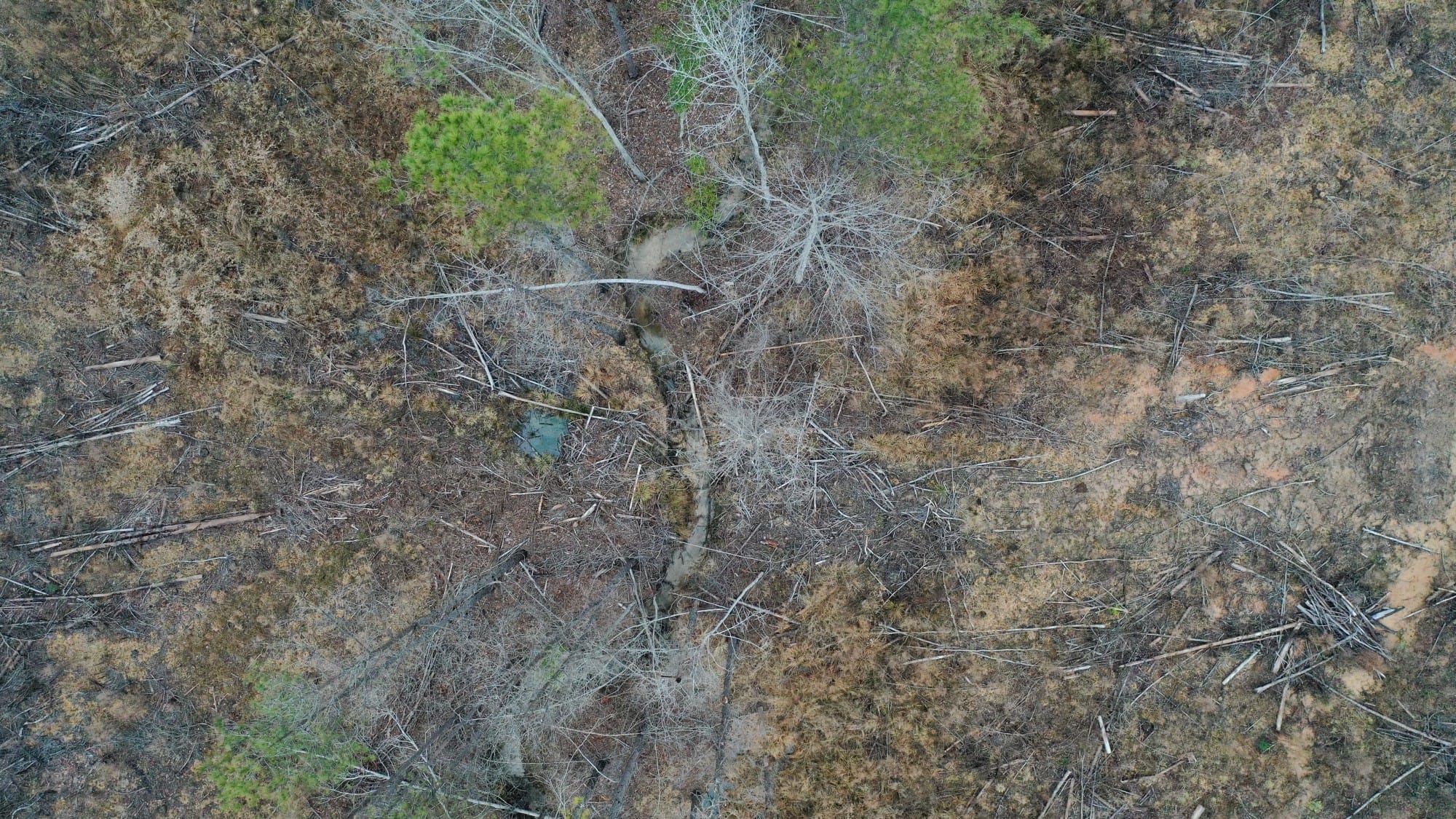 Fairview Hills Tract 8 photo 3