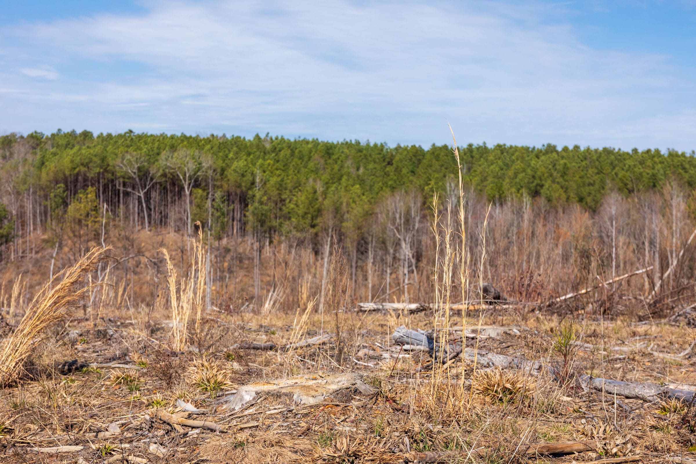 Fairview Hills Tract 8 photo 8