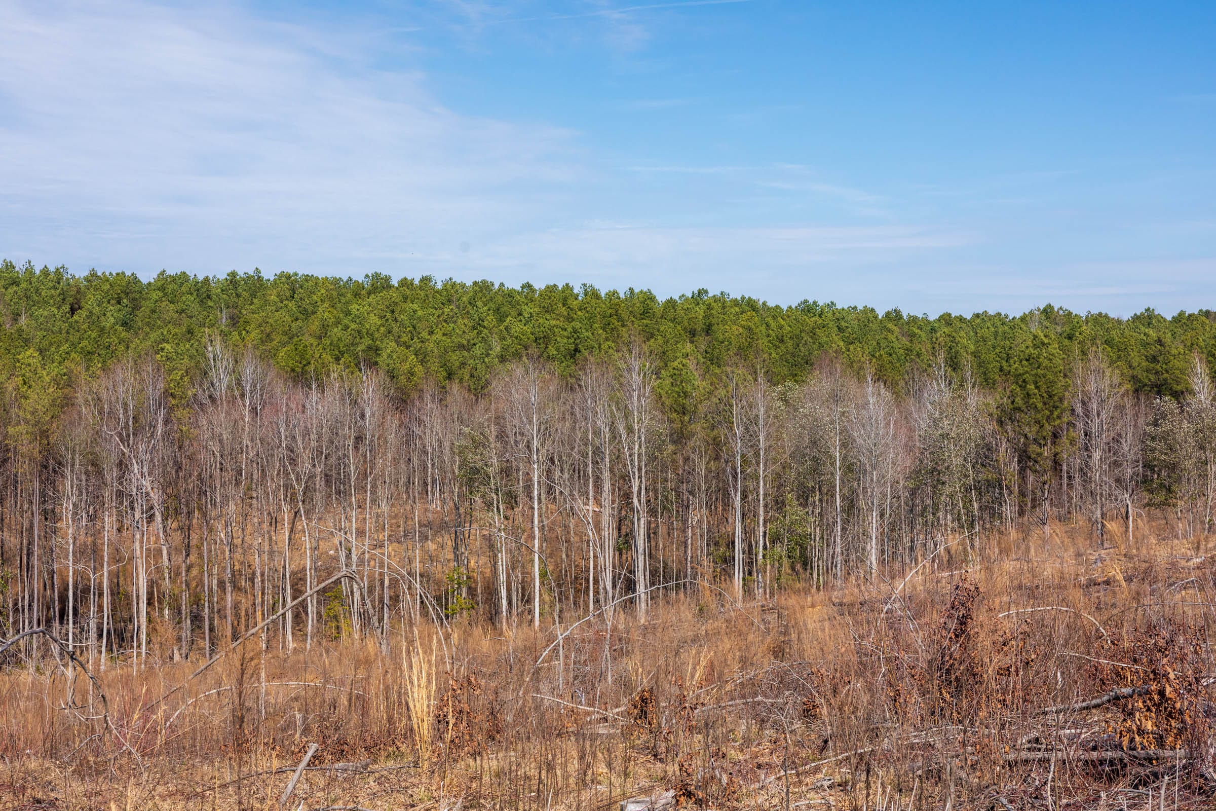 Fairview Hills Tract 8 photo 9