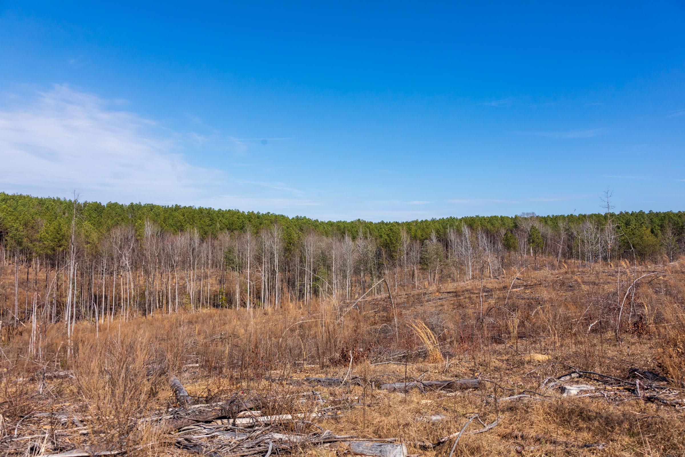 Fairview Hills Tract 8 photo 10