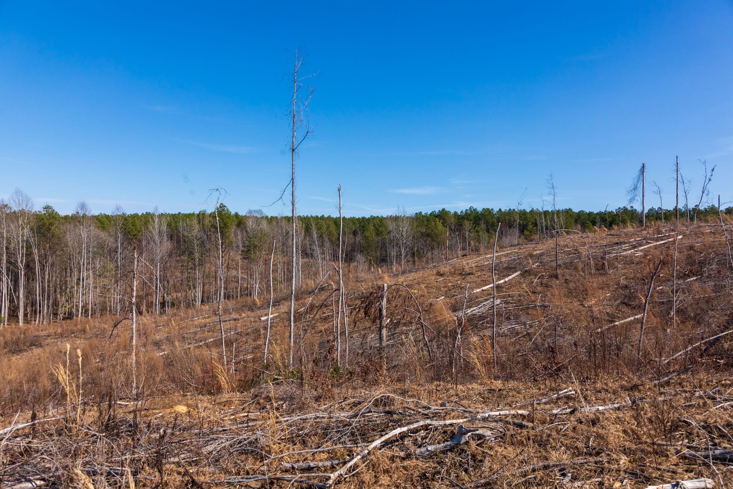 Fairview Hills Tract 8 photo 11