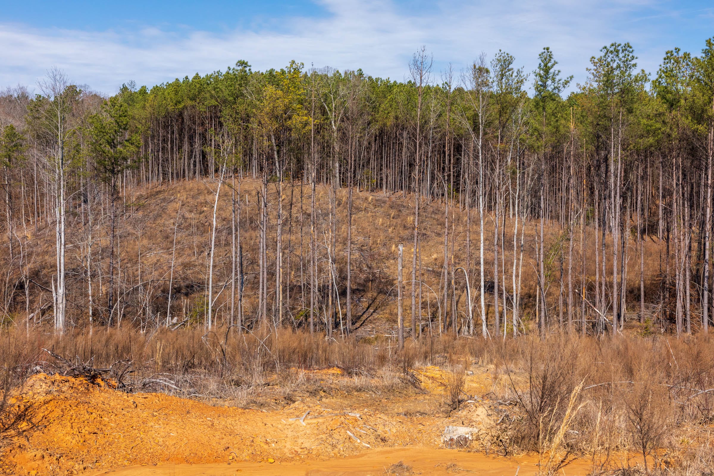 Fairview Hills Tract 8 photo 12