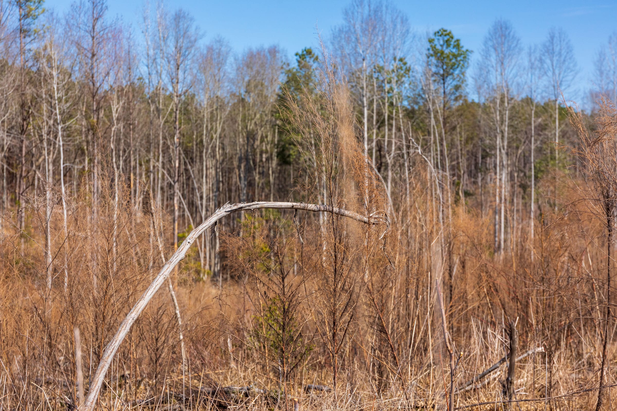 Fairview Hills Tract 8 photo 13