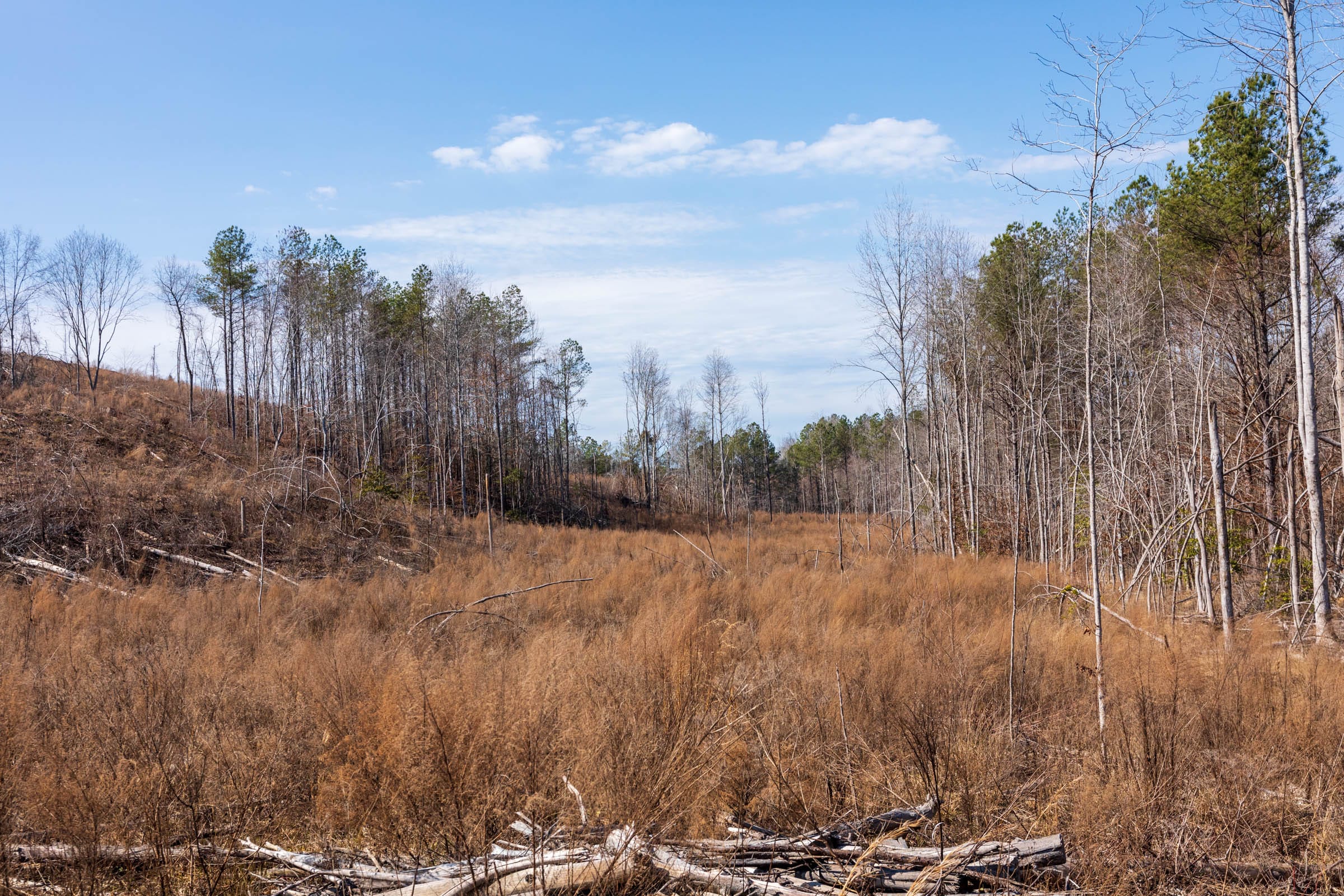 Fairview Hills Tract 8 photo 14