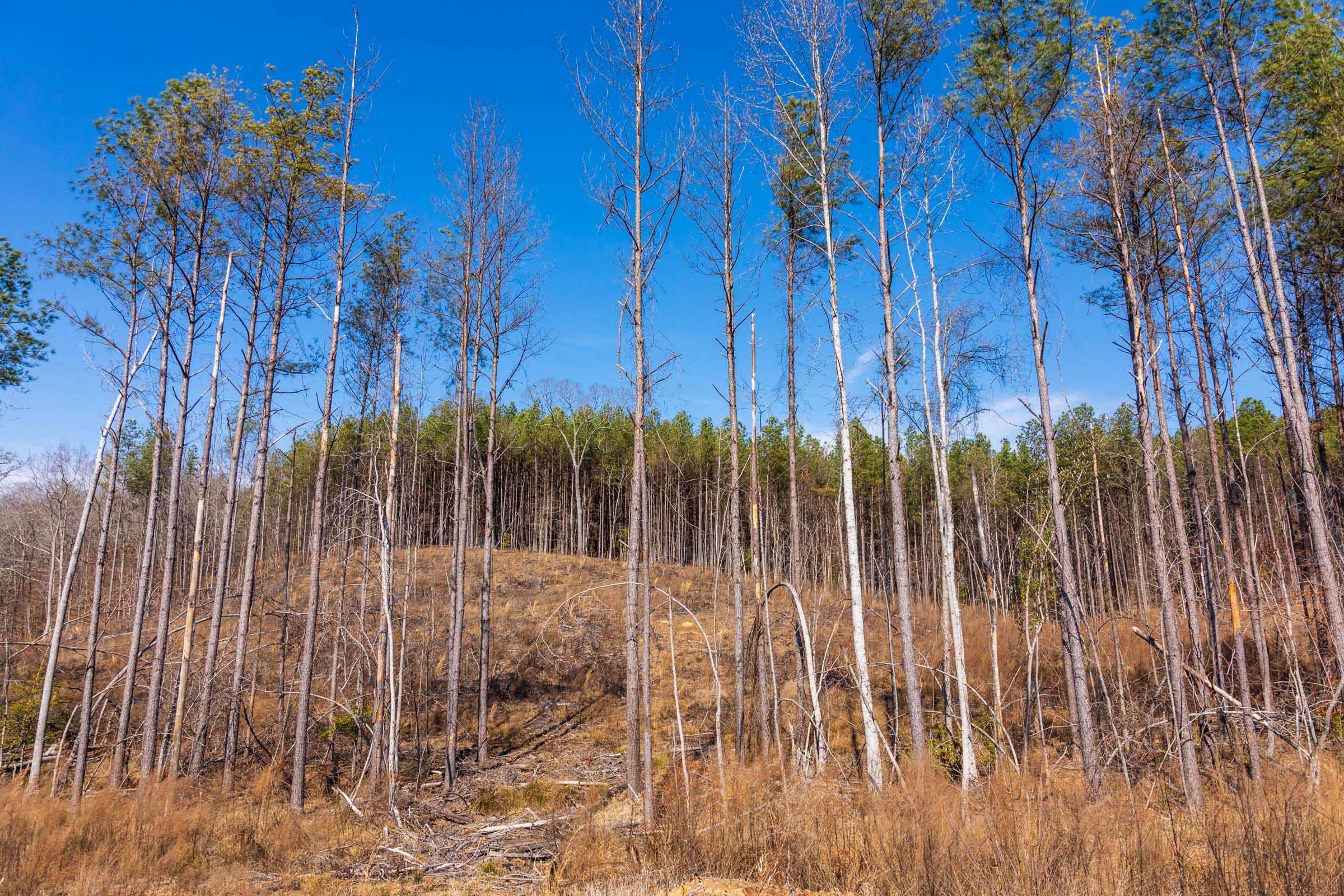 Fairview Hills Tract 8 photo 15