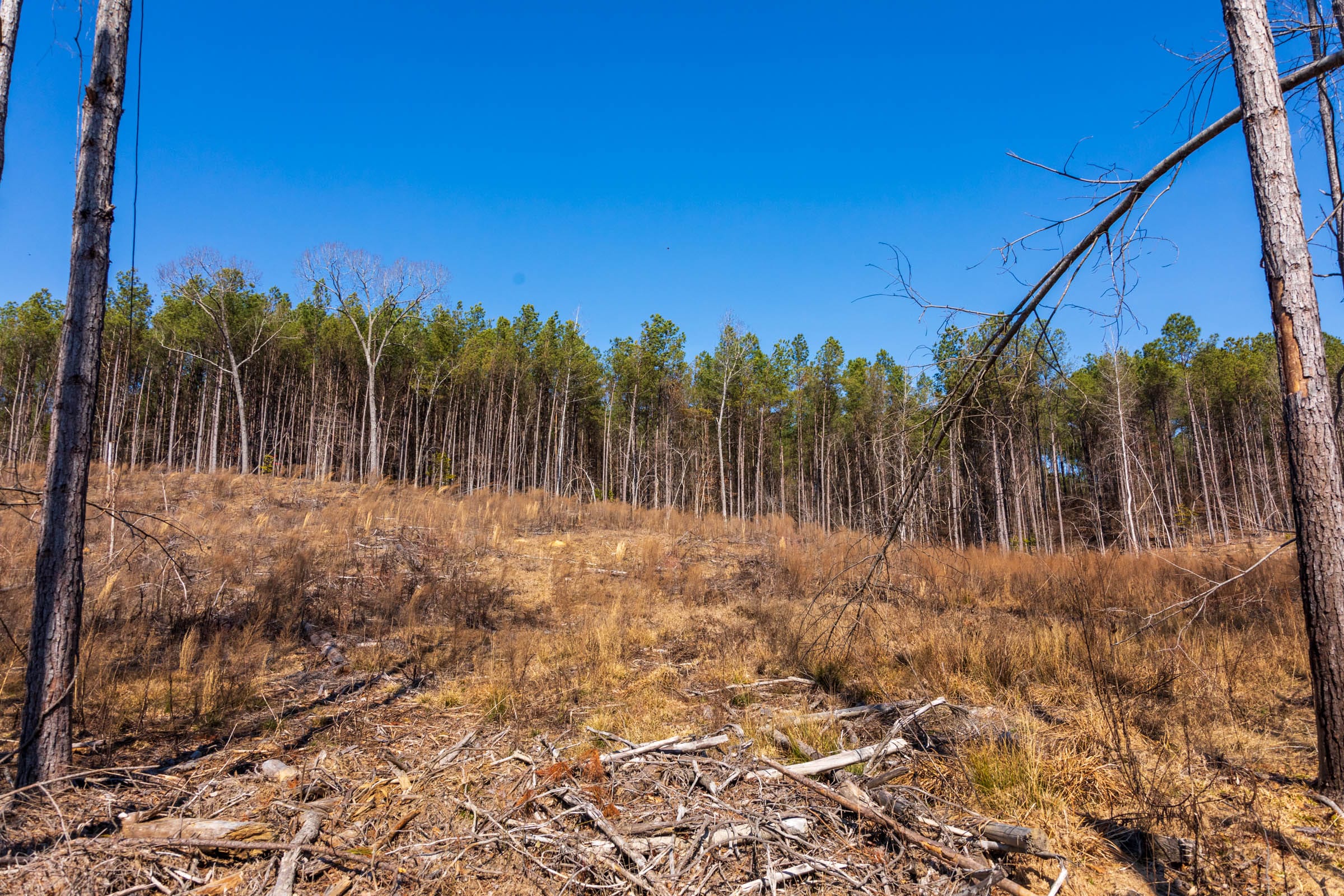 Fairview Hills Tract 8 photo 16