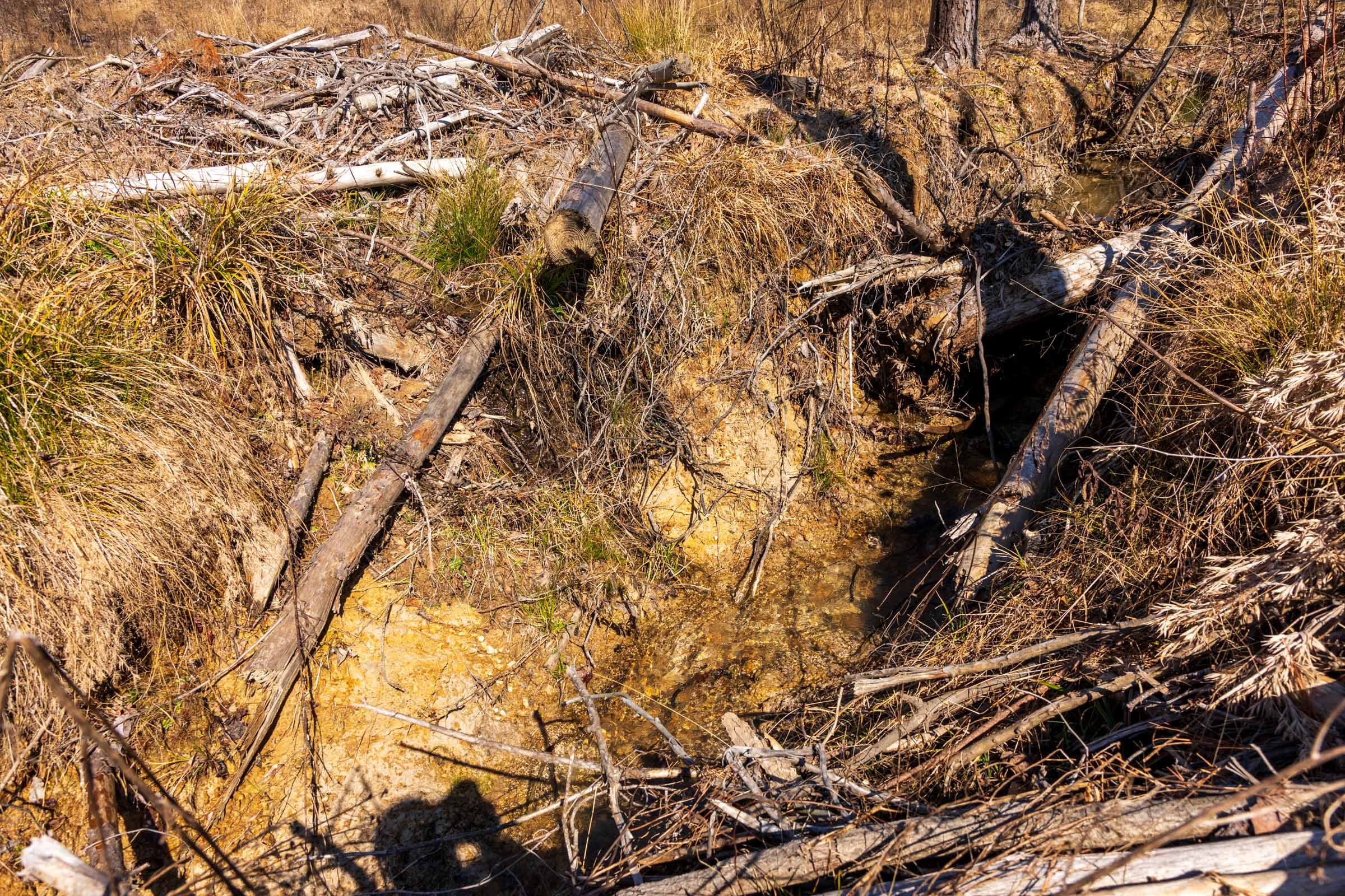 Fairview Hills Tract 8 photo 17