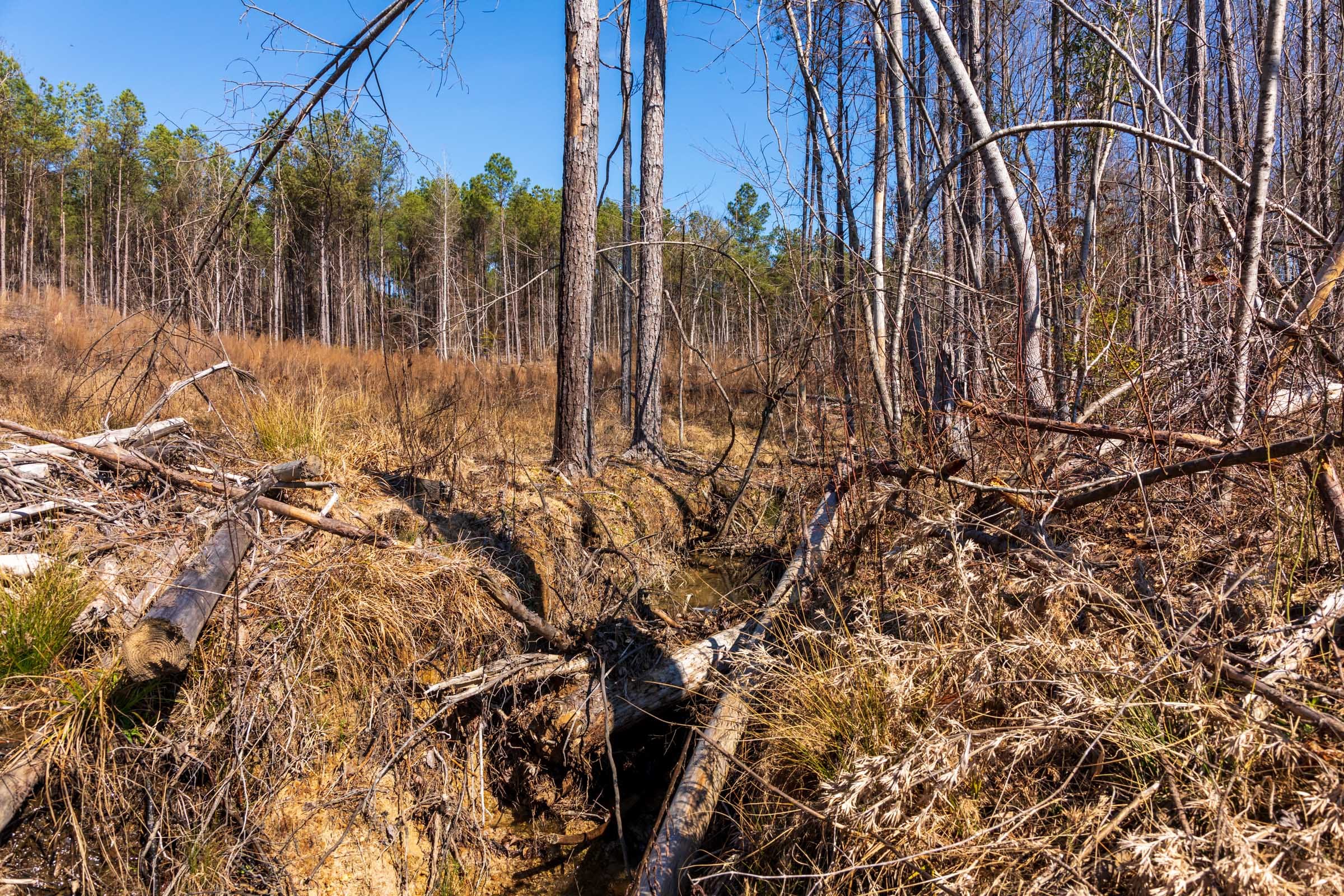 Fairview Hills Tract 8 photo 18