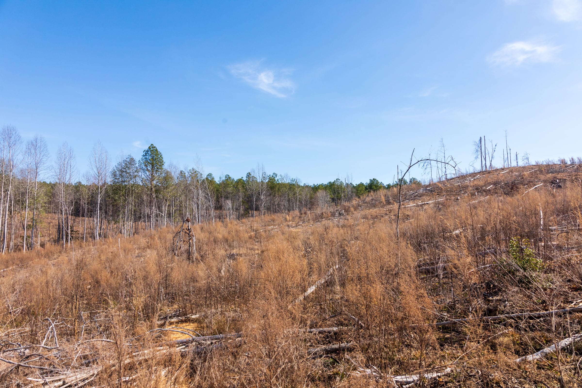 Fairview Hills Tract 8 photo 19
