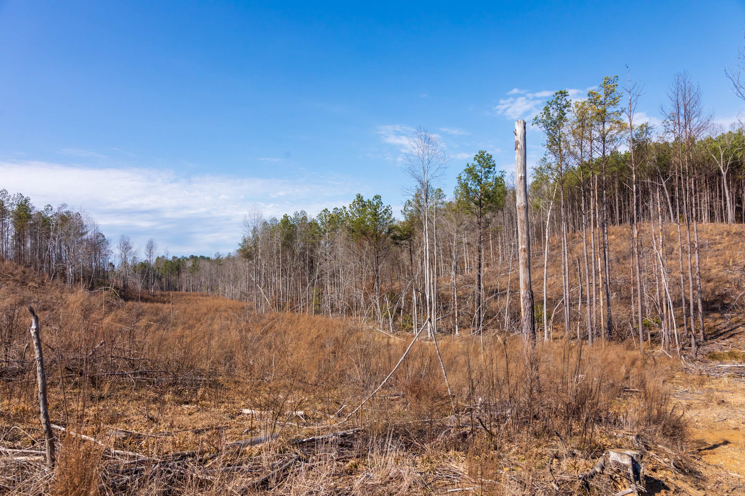 Fairview Hills Tract 8 photo 20
