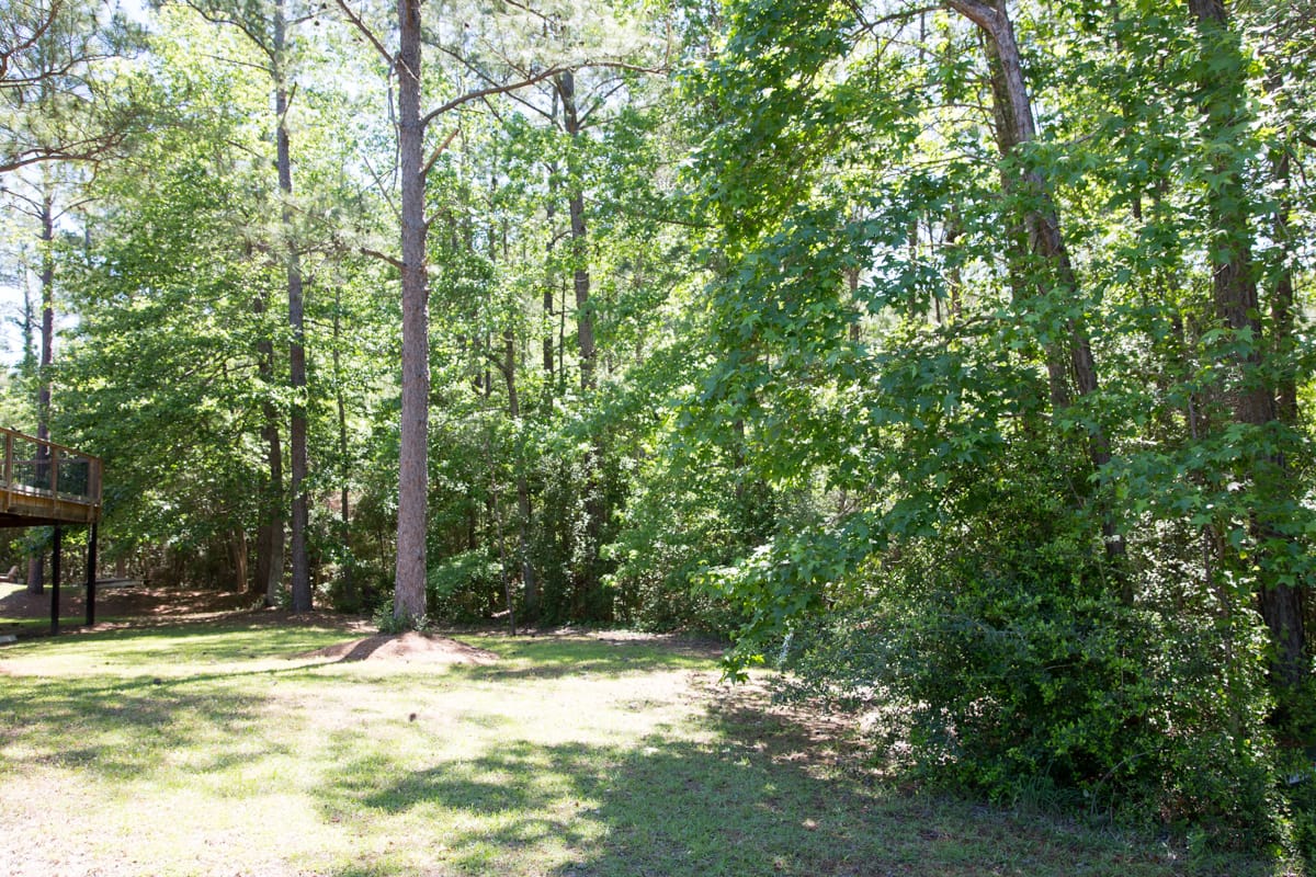 Rayburn Country Tract 8 photo 2