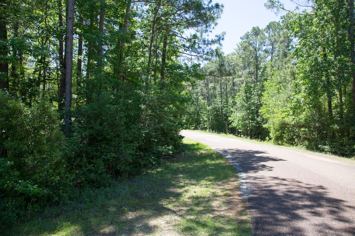Rayburn Country Tract 8 photo 3