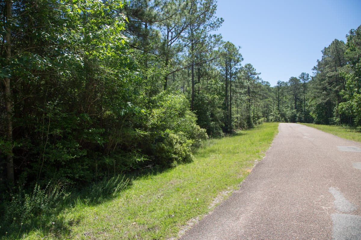 Rayburn Country Tract 8 photo 6